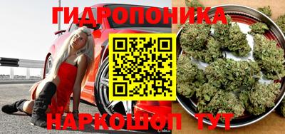 2c-b Заводоуковск