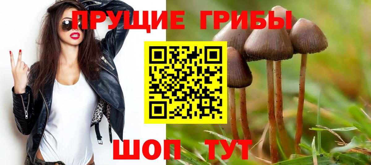 закладки  Псилоцибиновые грибы Psilocybe  Вход с VPN  Менделеевск 